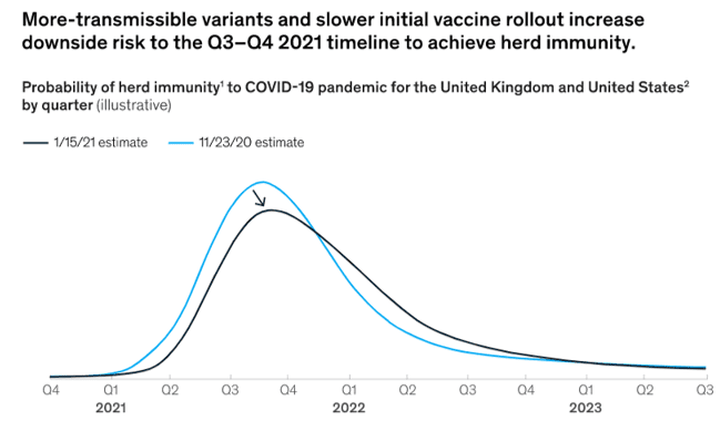 Updated probability adjusted model predicts longer tail for herd immunity