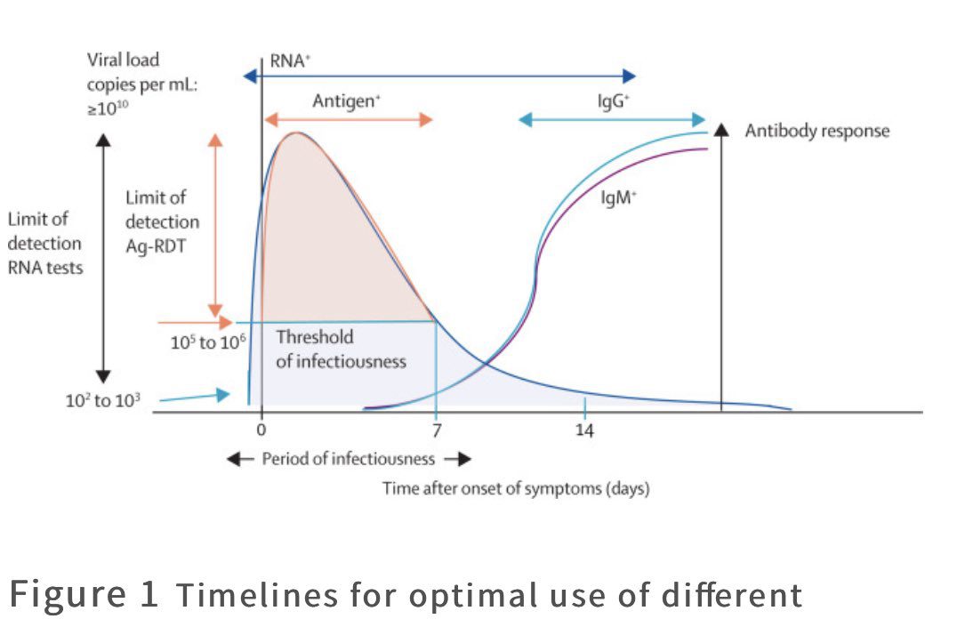Possible increase in interval between PCR and antigen testing
