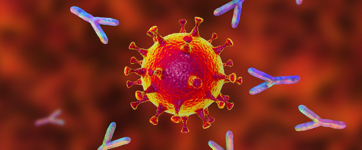 How Long Does Protective Immunity Against COVID-19 Last After Infection or Vaccination?