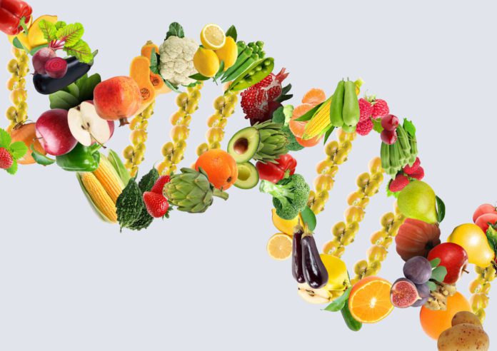 What You Eat Can Reprogram Your Genes