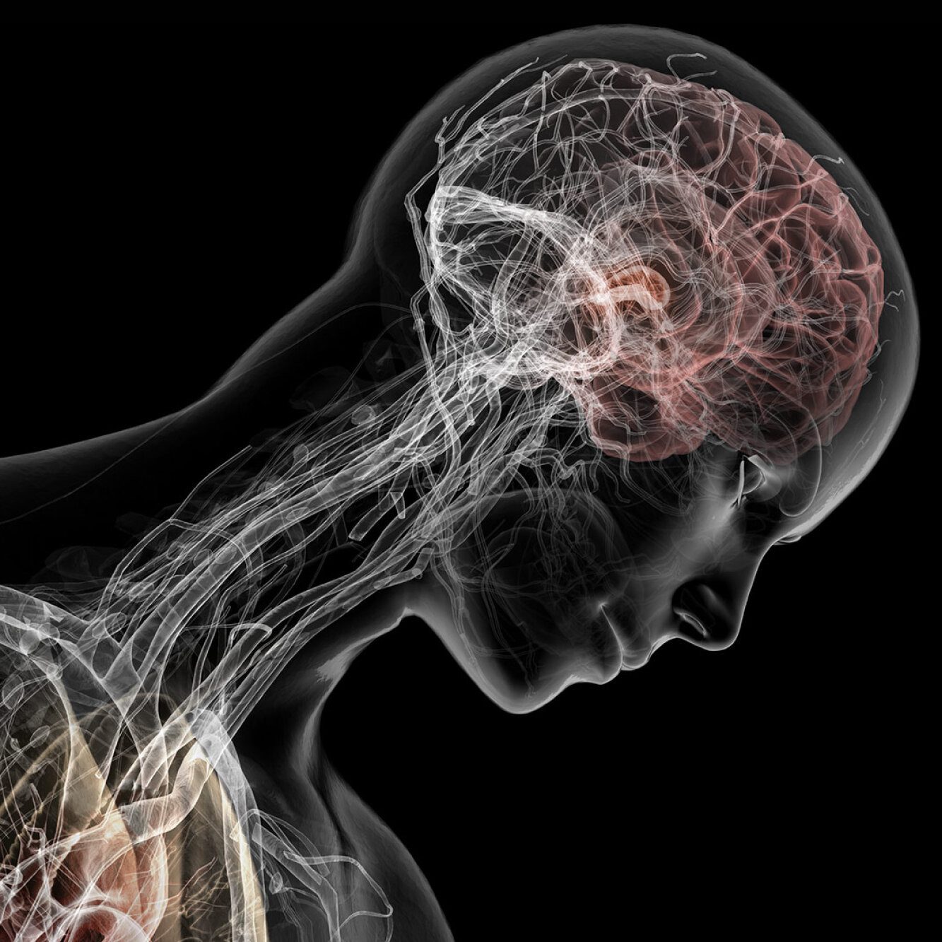 Feature image Will the long term effects of COVID lead to an increase in insurance premiums?