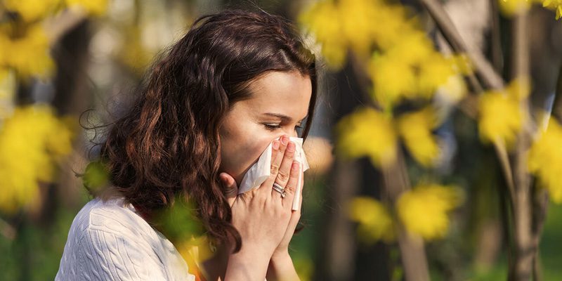 Achoo! Essential Reads for Pollen Season