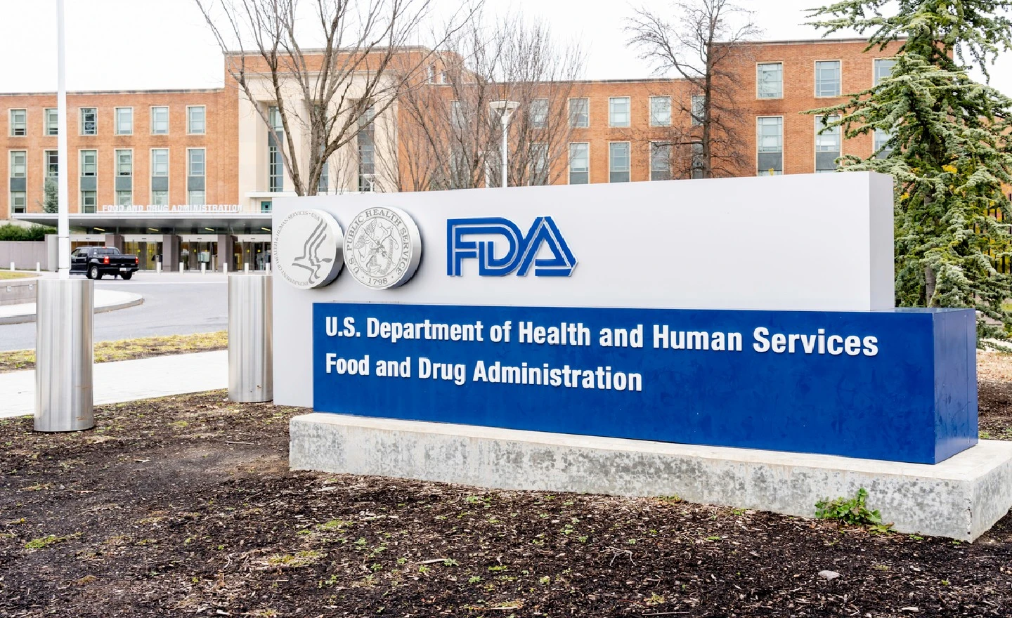 The Court of FDA
