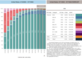 What COVID-19 variant are we on?