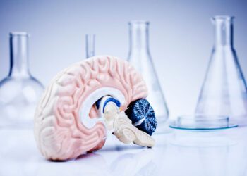 Alzheimer’s Might Not be a Brain Disease