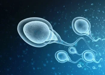 Male Birth Control Options?