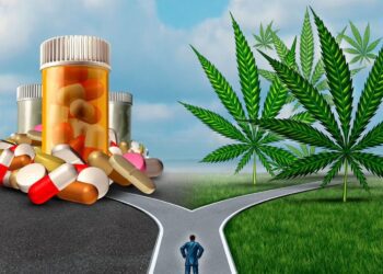 Marijuana-Opioid Switcheroo