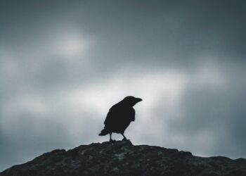 A conversation with chronic pain patient and true survivor, Arianne Grand Gassaway