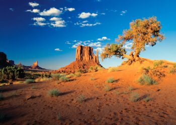 Another Way to Advocate for Pain Care _Barby