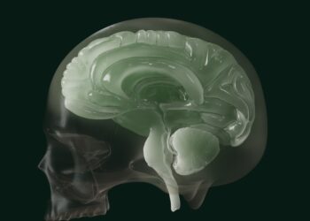 Racism Affects Neuroanatomy