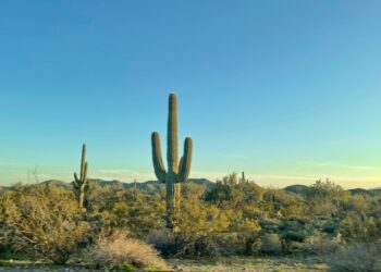 Endorse Barby Ingle!