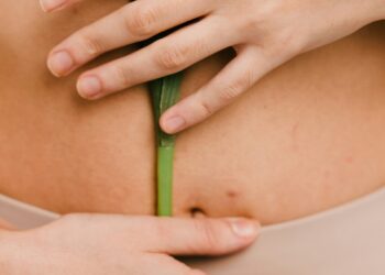 Gut Microbiome Can Support Weight Loss