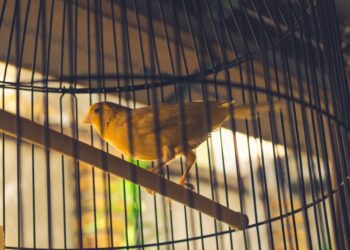 Physician Resilience Isn't Just Will Power