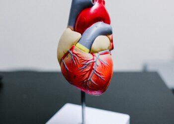 Unsung Heroes of Organ Transplants