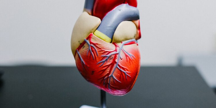 Unsung Heroes of Organ Transplants
