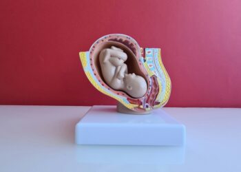 Abortion's the Tiebreaker