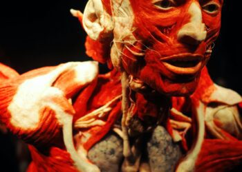 Anatomy of a Physician Prosecution