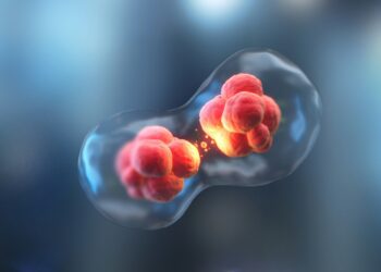 Closing the Health Startup Divide