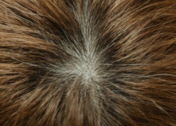 Understanding the Hair Growth Cycle