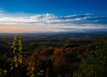 Talking physician acquittals with Dr. Rifai