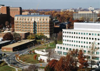 A Strategic Pause for Progress: Why the NIH Freeze Could Be Good in the Long Run