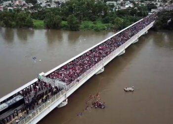 The Impact of U.S. Immigration Policies on Communicable Disease Control: A Public Health Perspective