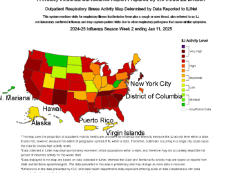 CDC Influenza Division