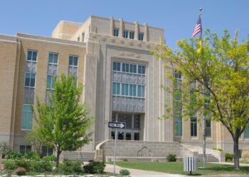 Physicians in the Courtroom: Mastering Pro Se Legal Representation