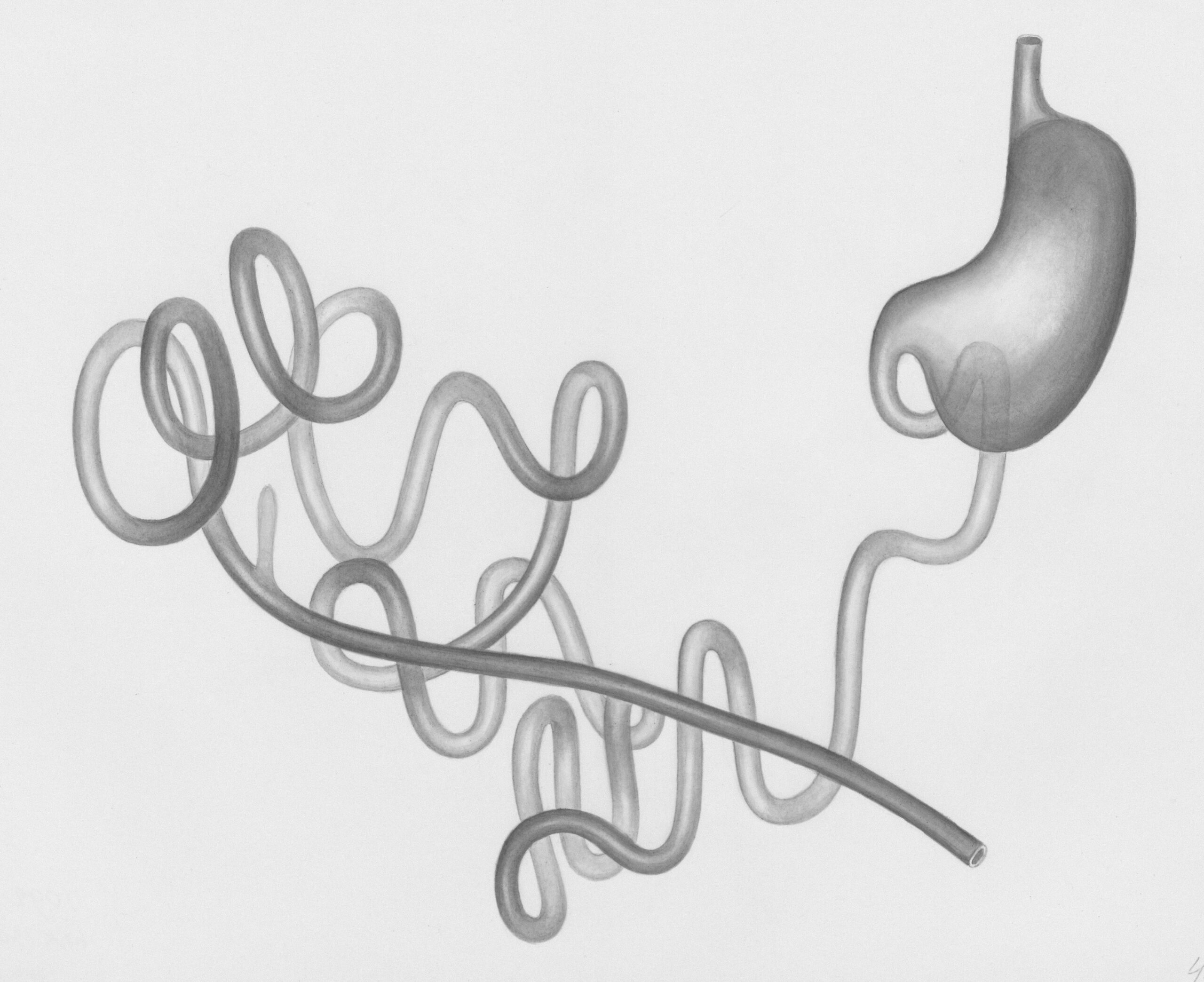 Microbes & Machines: How Gut Health and Virtual Care Are Reshaping ...