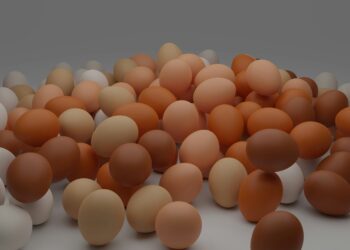 The Protein Paradox: Why Absorption, Not Just Intake, Is the New Frontier in Nutrition