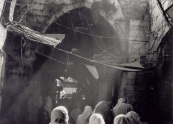 Where Medicine Meets Morality: How Specialty Societies Responded to the Gaza-Israel Conflict