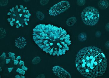 RSV Vaccines for the Youngest and the Oldest: A Public Health Milestone—and a Public Trust Test