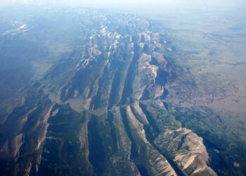 Navigating the Medical Licensing Maze