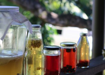 The Cult of the Gut: Untangling Hype from Health in the Age of Probiotics