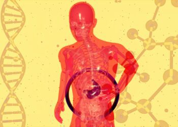 Feeding Remission: How Anti-Inflammatory Diets Are Quietly Boosting Colorectal-Cancer Survival