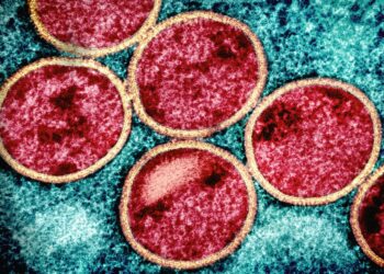 Mpox Reemerges in Africa: The Viral Threat Amid Vaccine Shortages and Political Abandonment