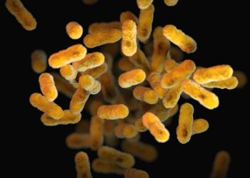 Gut Instinct: How Microbiome Science Is Rewriting the Rules of Health