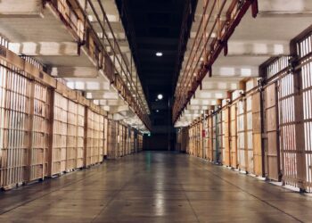 Criminogenic Confinement: The Silent Erosion of Minds