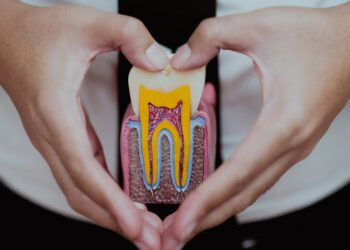 A close-up of a person forming a hand heart around a cross-section educational model of a human tooth.