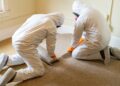Two people in white protective suits and orange gloves remove old carpet in a worn room with light walls and a window.