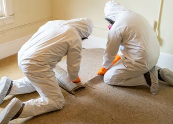 Two people in white protective suits and orange gloves remove old carpet in a worn room with light walls and a window.