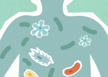 The Gut Has Become a Theory of Everything
