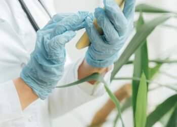 The Compounding Loophole